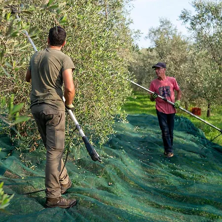 مزرعة للإقامة Podere Le Mezzelune بيبونا